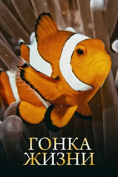 Сериал Гонка жизни (1 сезон)
